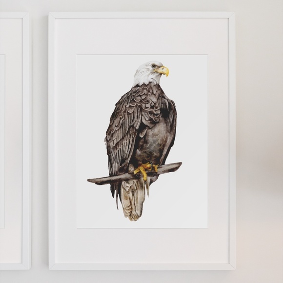 Watercolor Wall Art Print Eagle Portrait Unframed - Picture 5 of 13